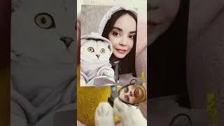 #cat #funny #cute #pets #cats #kpop #janemerijanemanbachpankapyarmerabhulnahijanare