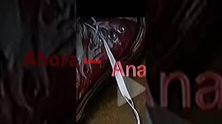vuela lejos ana