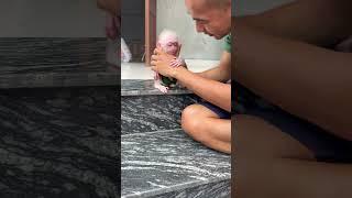 bibi doesn't want to be kissed