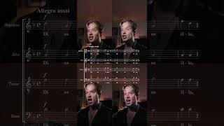 Dies iræ #mozart #requiem #vocal #classicalmusic #singer #satb #vocalsonly #countertenor #opera