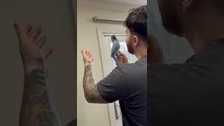 Kiss your bird #funny #talkingparot #funnyanimal #pets #funnybird #foryou #animals #funnyparrot