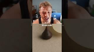 ChatGPT, Show Me Hershey's Kiss