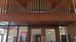 Variations On "O Waly Waly" Janet Linker. Theme Variation I