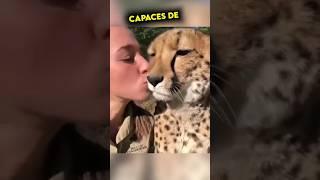 Mujer besa a un Guepardo y pasa lo siguiente...
