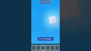 Minecraft Herobrine ☠️☠️