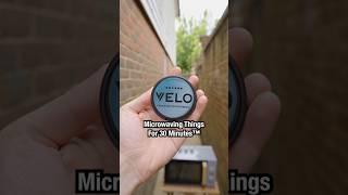 Stinky pot of VELO is DEMOLISHED by Popty Ping #microwave #velo #snus