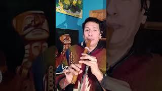 Porque te Vas - Jeanette - Instrumental cover - Pan Flute  - Quena #SpanishHits #sadlovesongs Grecco