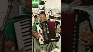 JEANETTE RAINHA DO ACCORDION MILONGA #jeanette #rainhadoaccordion