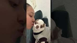 "Dog’s Expression When You Kiss It Is Just Too Real!"#dog#dogs #pet #teenagedog#zoomies