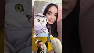 #cat #funny #cute #pets #cats #dontlaught #comedymemes #duet #707sushi #funnymemes