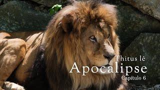 Apocalipse 6