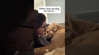 My dog responds to my kisses. #dog #funny #funnypets #kiss #love