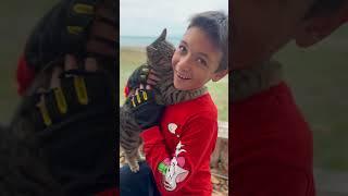 Adorable Cat Playfully Hugs And Kisses Young Boy