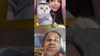 #cat #funny #cute #pets #cats #duet #whowillbemylifepartnerta