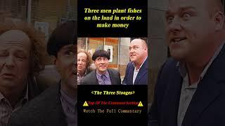 3 Brothers Planted Fishes in the Golf Course to Make Money and Save the Orphanage #shorts