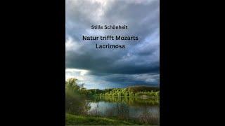 Stille Schönheit - Natur trifft Mozarts Lacrimosa
