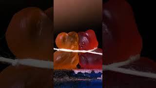 ASMR Kissing Damla Bears close-up macro #shorts #satisfying #closeup #asmr #macro