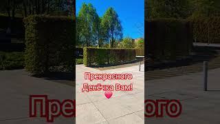 Огромной Любви вам!