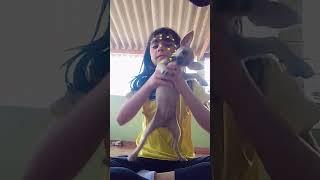 2 de maio de 2025