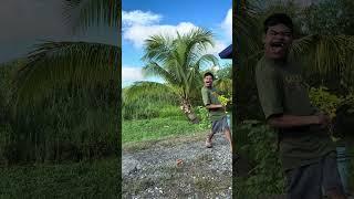 lalapit ka lang ha pag luto na #comedy #comedymove #comedyfilms #funny