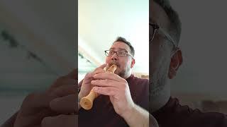 Lacrimosa from Requiem in d minor by Wolfgang Amadeus Mozart. Soprano/descant recorder