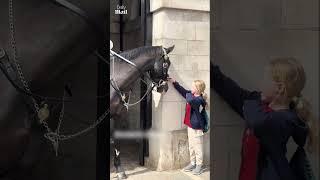 Little girl gets a kiss from King's Guard horse