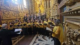@MadrigalCruzLopes - Lacrimosa - Wolfgang Amadeus Mozart - Museu Sacro Franciscano.