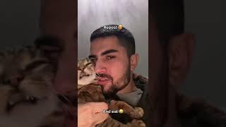 Kiss the cat #cute #funny #foryoupage #foryou #funnycats #usaus #cat #funnyvideos