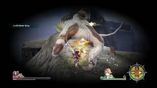 YS VIII: Lacrimosa of Dana - Master Kong: Laxia (Inferno)